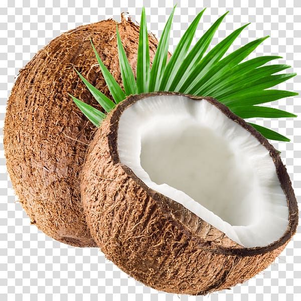  नारियल