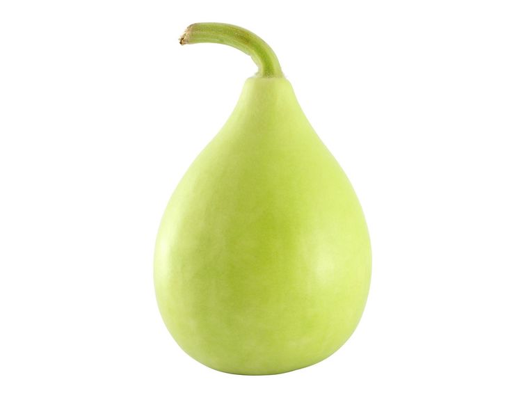 लौकी